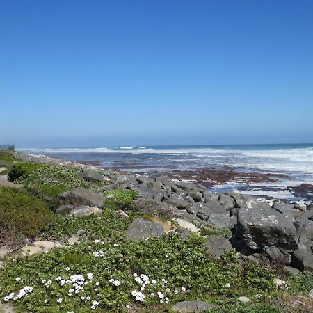 Palm Villa Cottage Kommetjie Eksteriør bilde