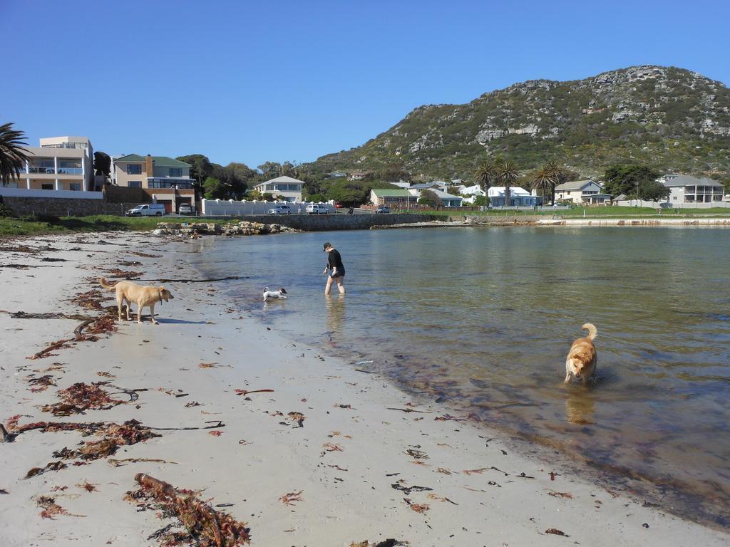 Palm Villa Cottage Kommetjie Eksteriør bilde