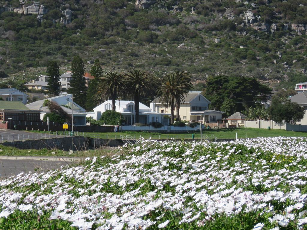 Palm Villa Cottage Kommetjie Eksteriør bilde