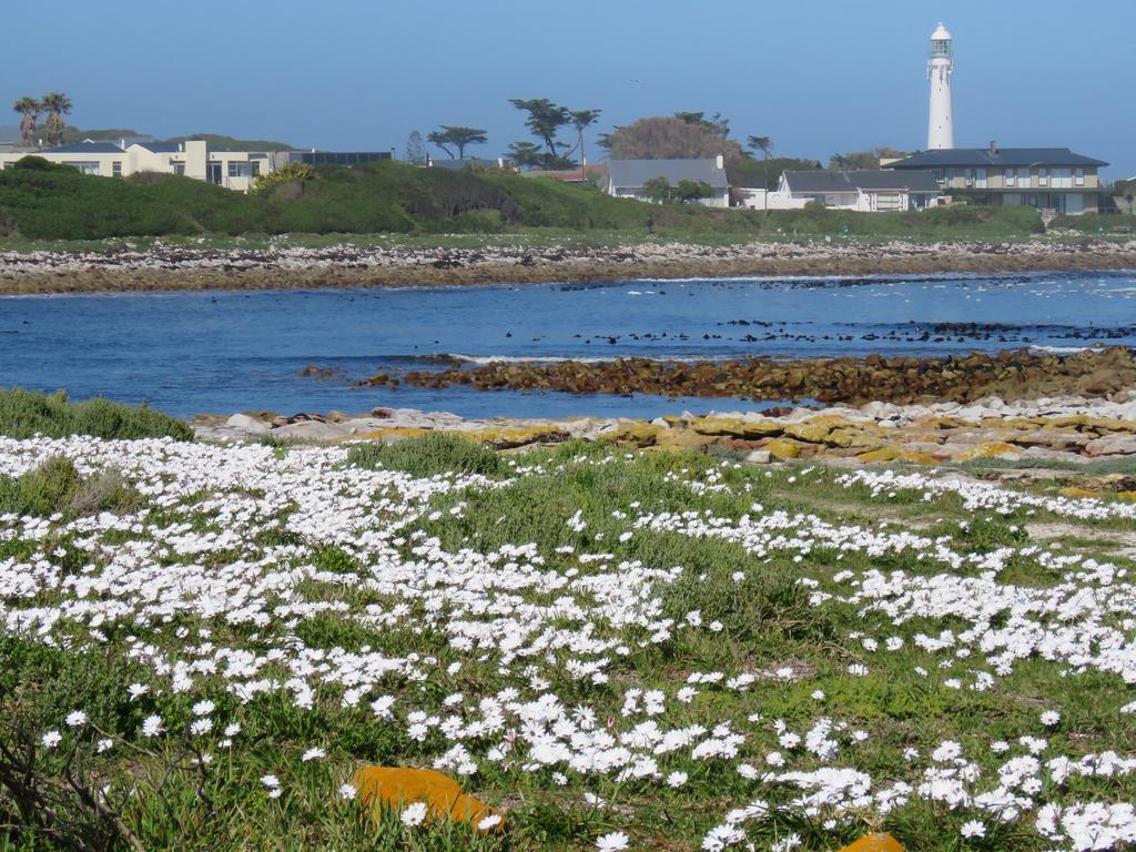 Palm Villa Cottage Kommetjie Eksteriør bilde