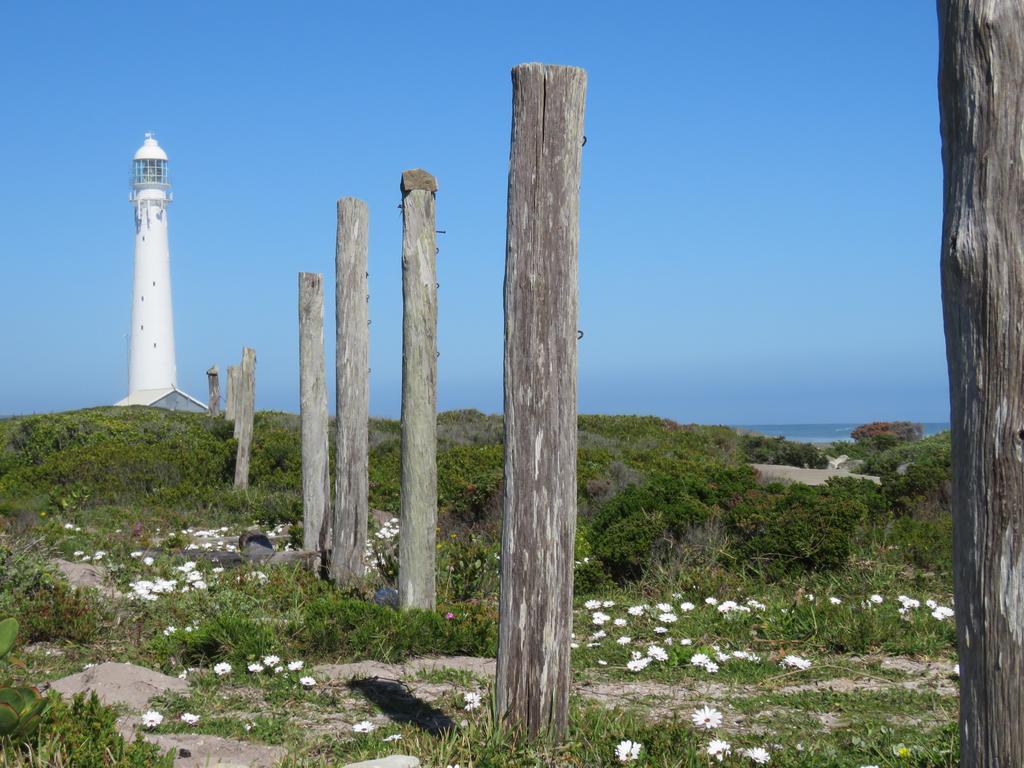 Palm Villa Cottage Kommetjie Eksteriør bilde