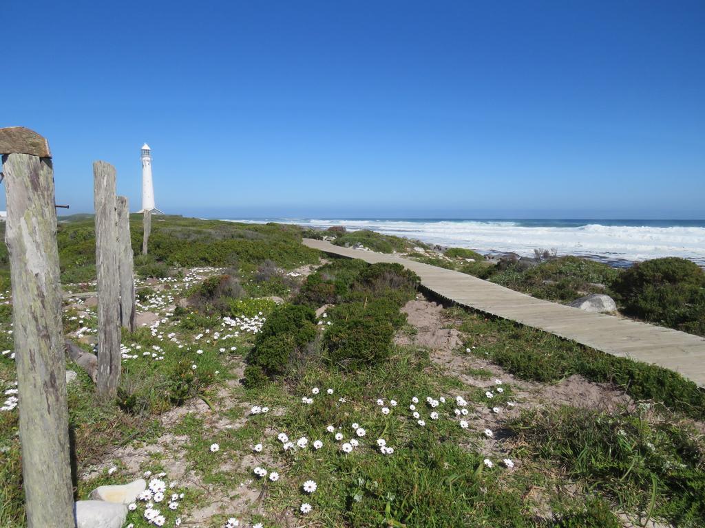 Palm Villa Cottage Kommetjie Eksteriør bilde