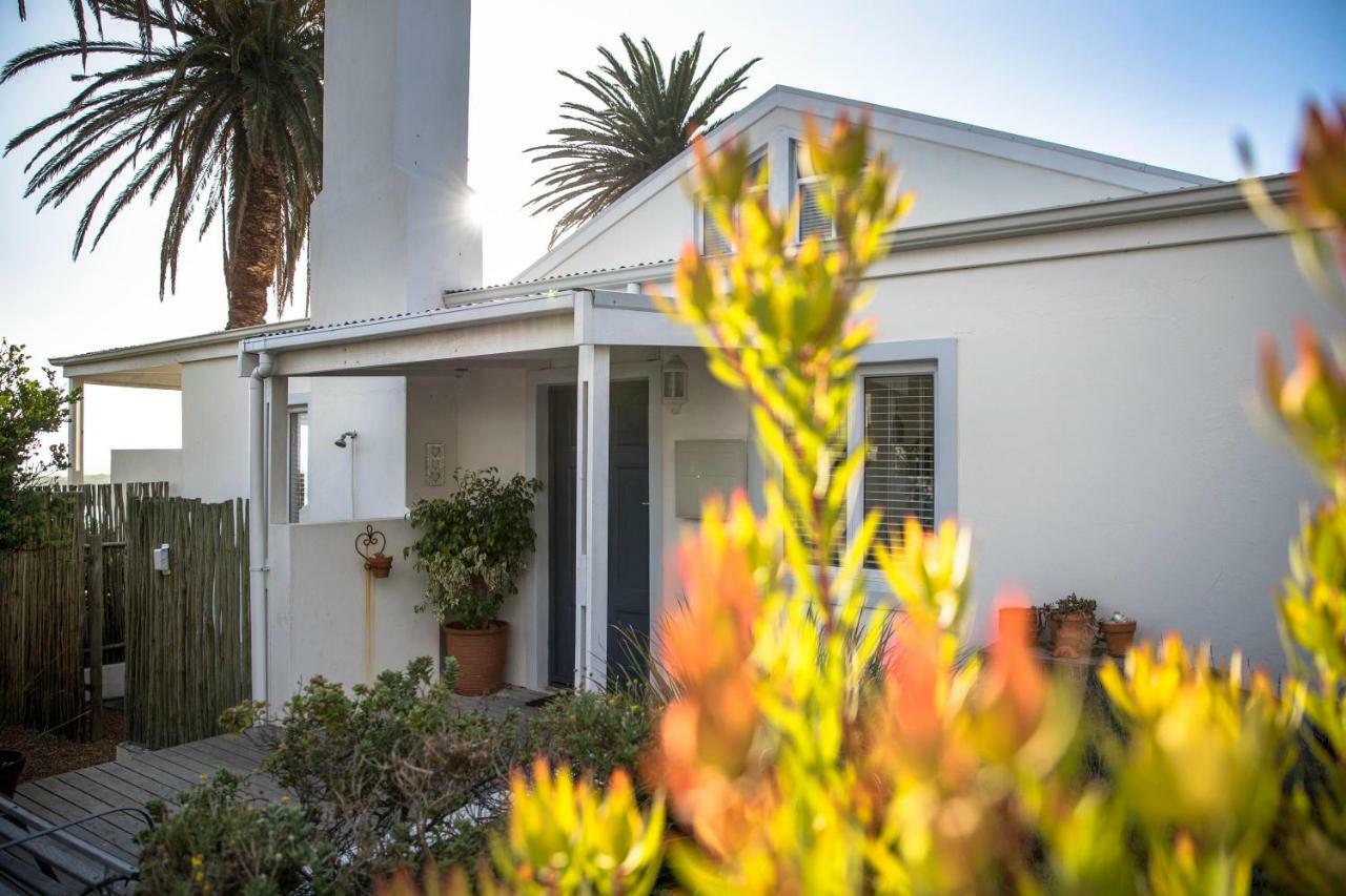 Palm Villa Cottage Kommetjie Eksteriør bilde